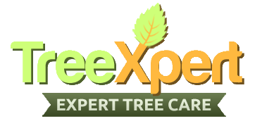 TreeXpertAtlanta
